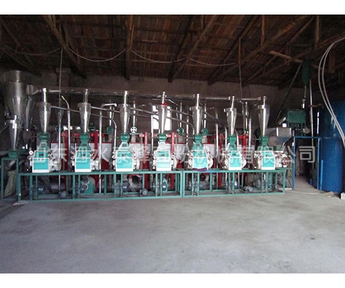 日產(chǎn)40噸面粉加工成套設備