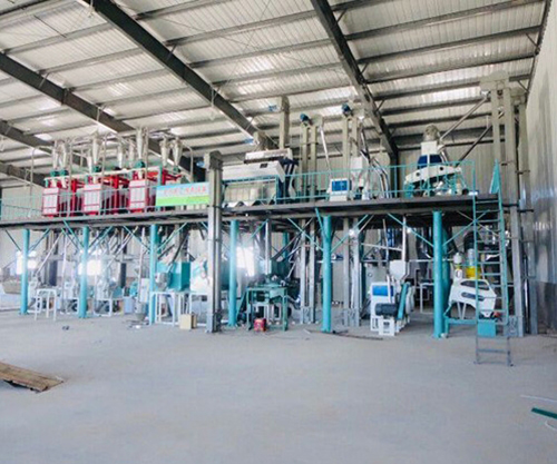 80噸玉米加工成套設備 80噸玉米加工成套設備